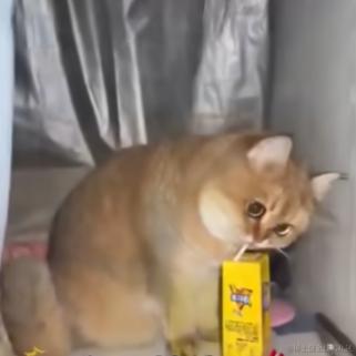 咿呀_咿呀_哟于2024-01-19 15:37发布的图片