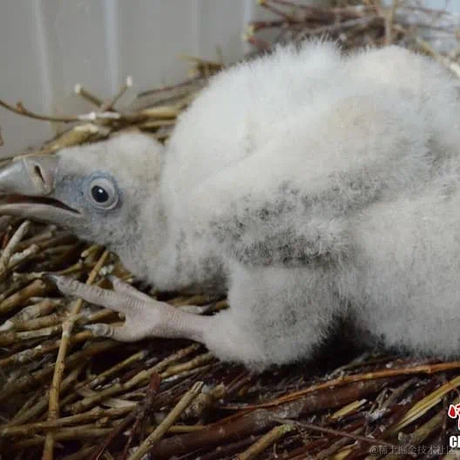 DamonLu于2022-06-13 22:16发布的图片