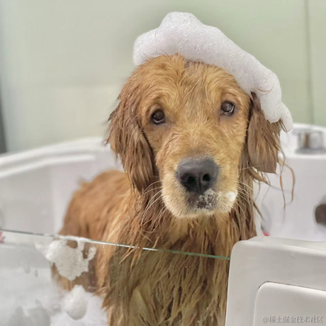 SONDER27于2022-12-05 17:57发布的图片