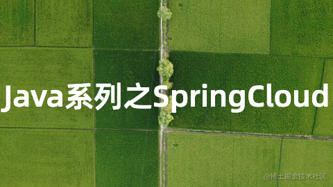 Spring Cloud 微服务系列