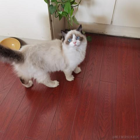 烤肉电线杆于2022-12-13 21:01发布的图片