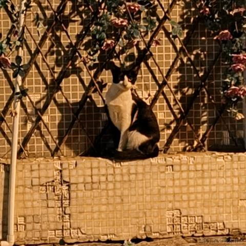 Wei于2022-11-16 23:09发布的图片