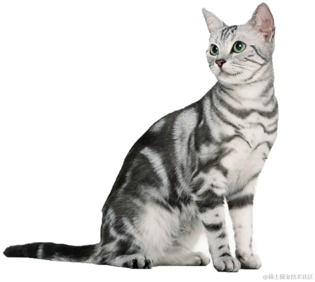 ic_cat.png