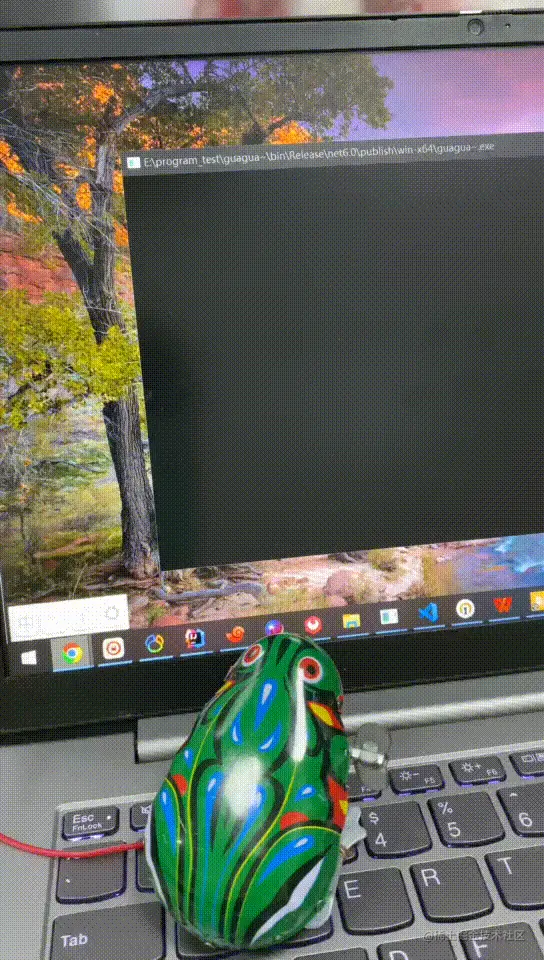 1111.gif