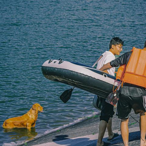 吾与徐公孰美耶于2024-06-05 09:33发布的图片