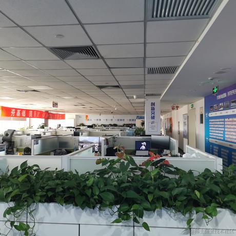 草帽lufei于2022-10-22 09:36发布的图片