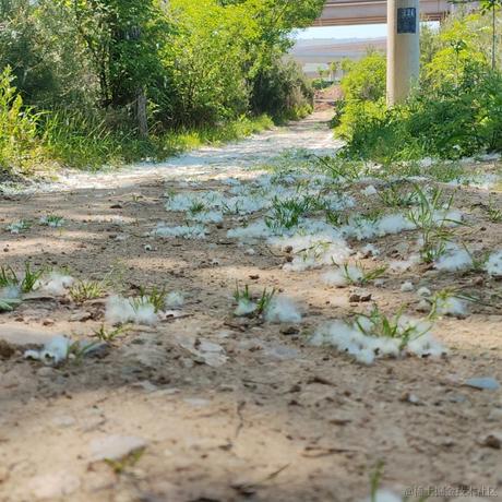 节约用电的小熊猫于2023-04-29 15:37发布的图片