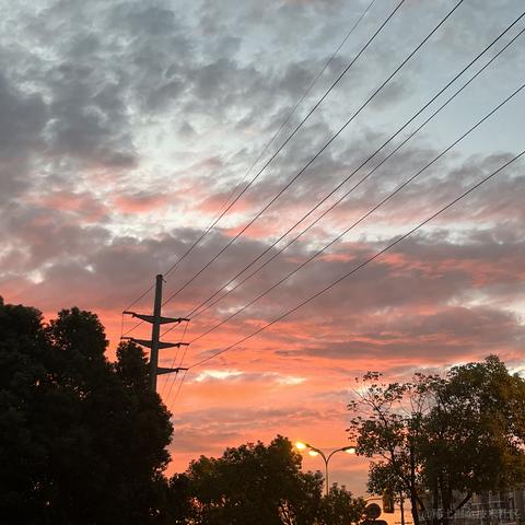 皮皮酱子于2023-09-01 11:11发布的图片