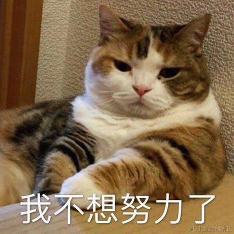 大发猫耶于2021-05-10 13:17发布的图片
