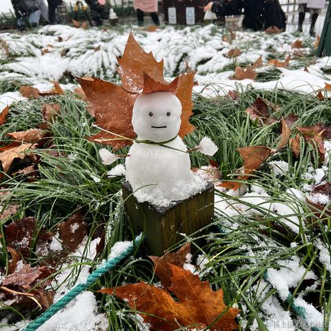 林夕lucky于2022-12-01 14:42发布的图片