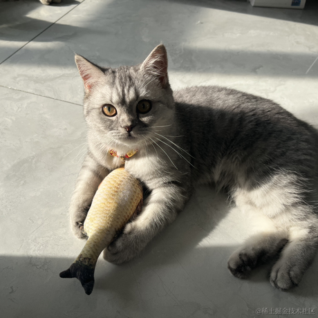 进阶的小叮当于2023-05-27 01:42发布的图片