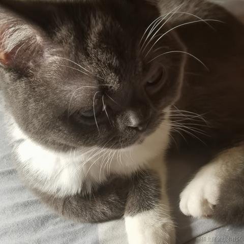 二十一一于2023-05-31 23:09发布的图片