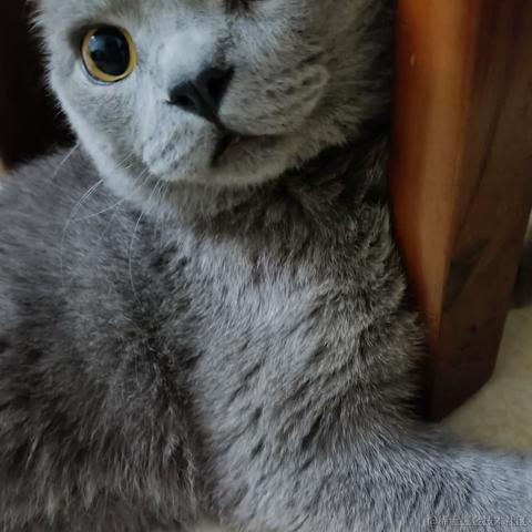 檩麓于2023-05-10 23:52发布的图片