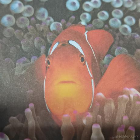 松蟹于2022-11-15 08:31发布的图片