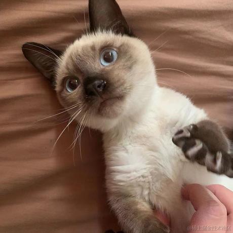 白小小白于2022-10-20 17:10发布的图片