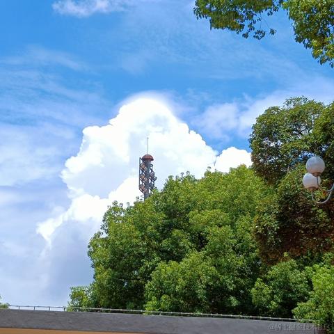 用户2276542543504于2023-07-28 15:56发布的图片