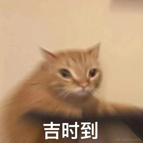 皮皮皮皮皮喵于2023-03-03 09:29发布的图片