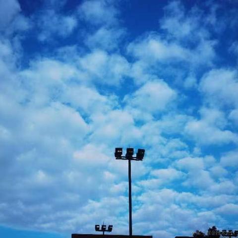 maskira于2022-11-09 19:03发布的图片