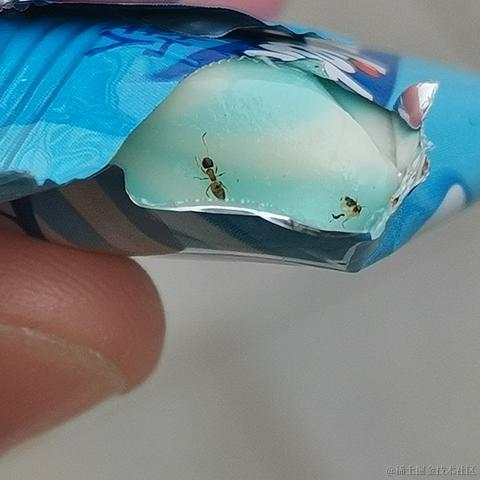 琳000于2022-12-06 21:27发布的图片