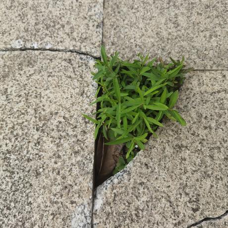 瓜瓜飞上天于2023-06-28 10:02发布的图片