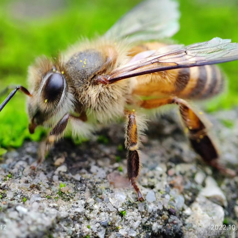 薛定谔的猫酱于2022-10-01 17:41发布的图片