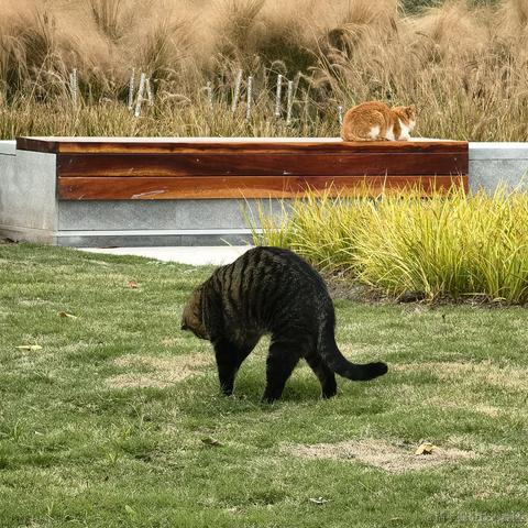 小栗帽永远的神于2022-11-21 10:33发布的图片