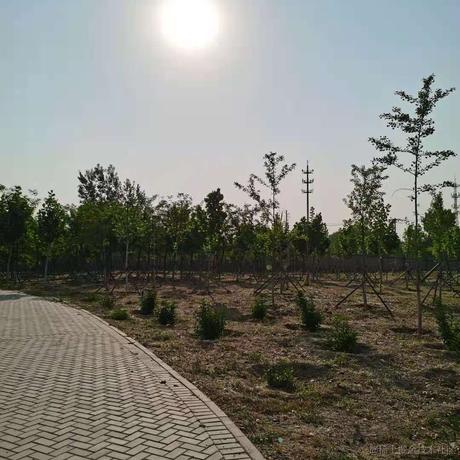 已注销于2021-05-19 10:43发布的图片
