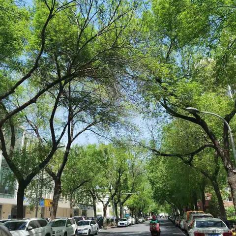 Cissie于2021-04-19 11:33发布的图片