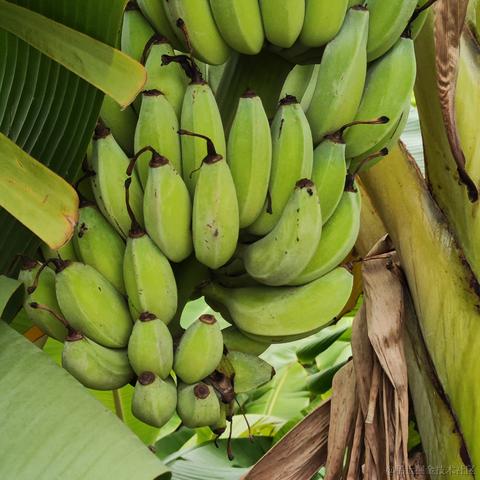 媛媛啊9813于2024-05-18 12:02发布的图片