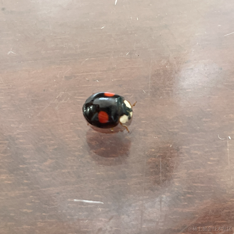 粉色矮水母于2023-06-27 19:23发布的图片