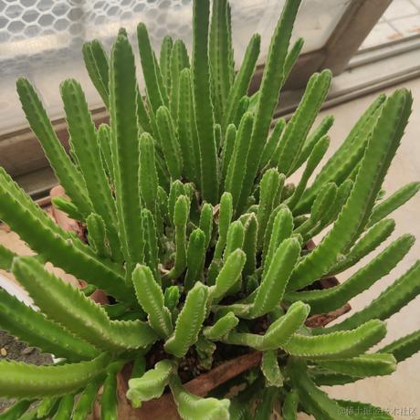 啊毛毛于2022-12-07 15:10发布的图片