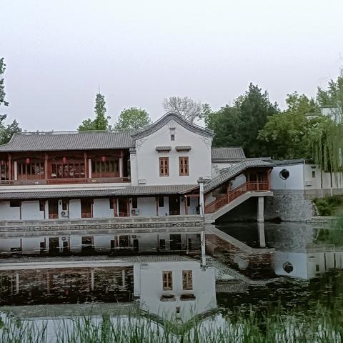 bissg于2023-04-18 20:37发布的图片