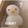 瓢儿白于2024-01-18 11:28发布的图片