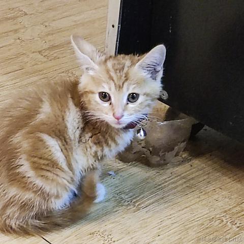 糯香香普洱于2022-11-27 10:40发布的图片