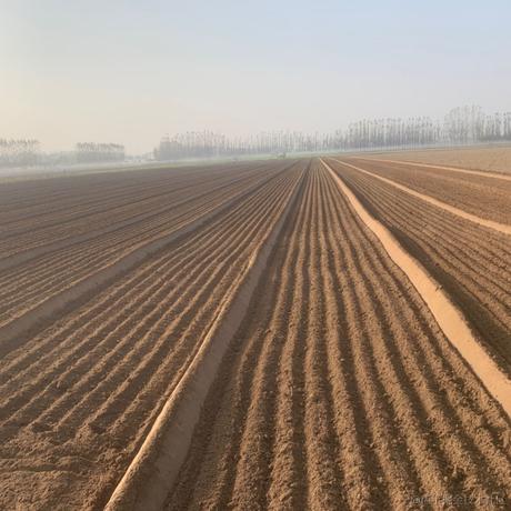 板砖村长于2023-10-17 10:16发布的图片