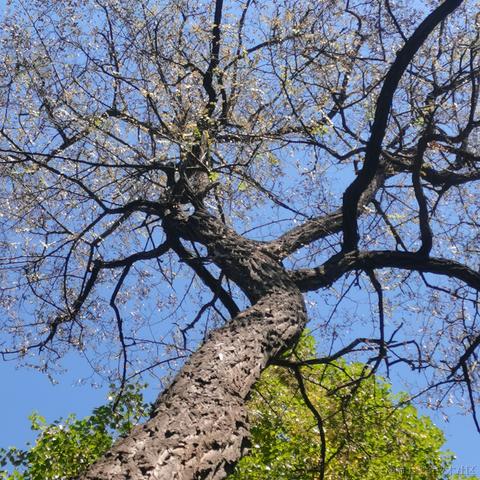 月季花于2022-11-18 14:26发布的图片