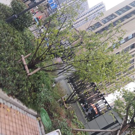 码农胡歌于2022-11-30 08:35发布的图片
