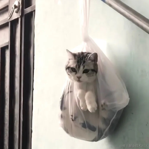 Little_Bear于2023-04-21 07:03发布的图片