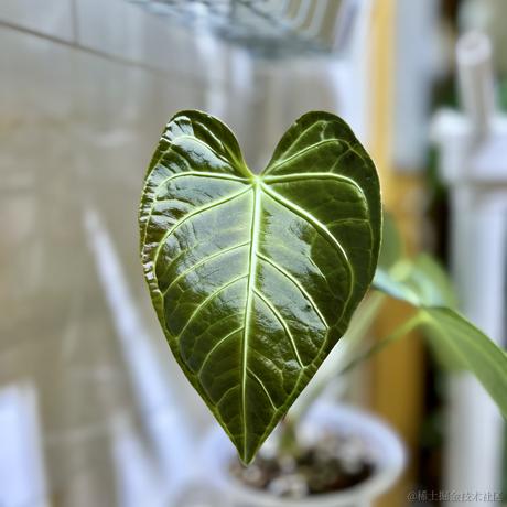 BK0717于2022-11-23 18:02发布的图片