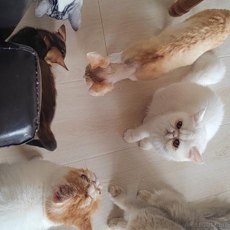 霸王龙蛋蛋于2023-08-27 21:48发布的图片