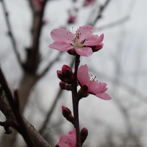 无糖气泡水于2023-03-15 07:53发布的图片