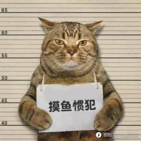 贰伍捌伍于2023-08-04 17:19发布的图片