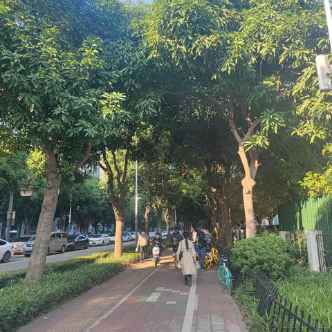 阿西小胖子于2022-12-08 22:59发布的图片