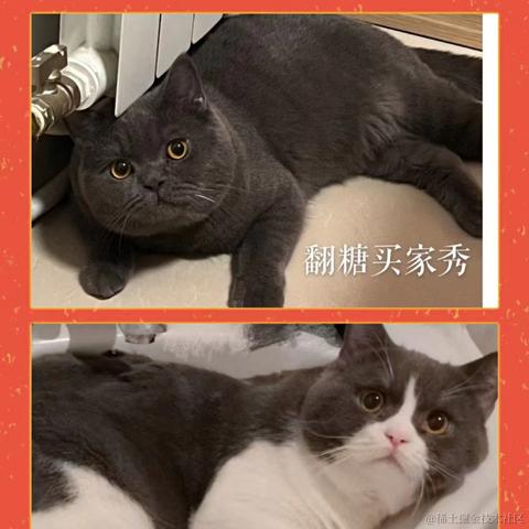 龍佛于2023-06-02 14:11发布的图片