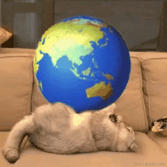 已注销于2022-01-06 09:28发布的图片