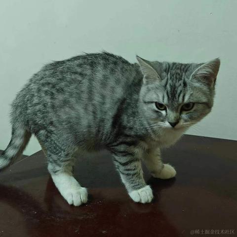 小程217于2024-01-14 10:45发布的图片