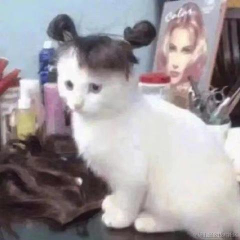 Care_在乎于2021-11-23 14:41发布的图片