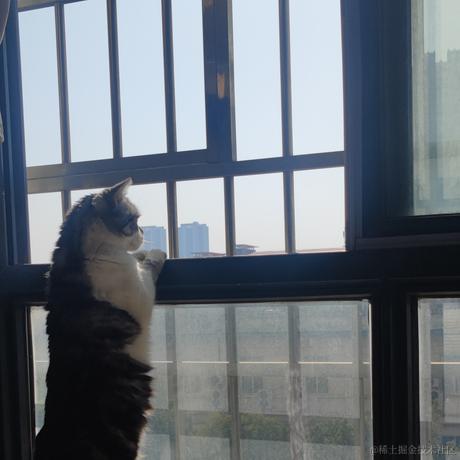 这都什么鬼于2023-05-13 22:48发布的图片