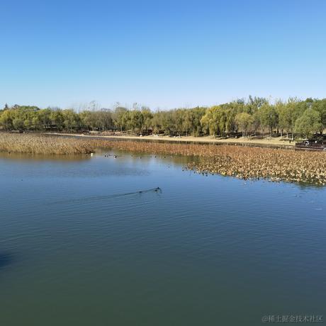 好耶仔仔棒于2022-11-15 09:01发布的图片