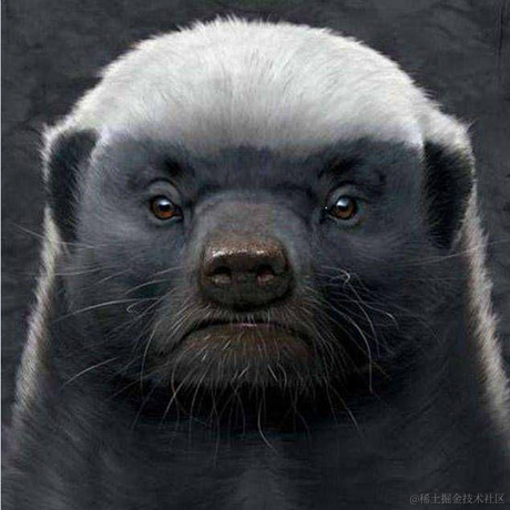 小麻雀呀于2021-02-08 08:54发布的图片